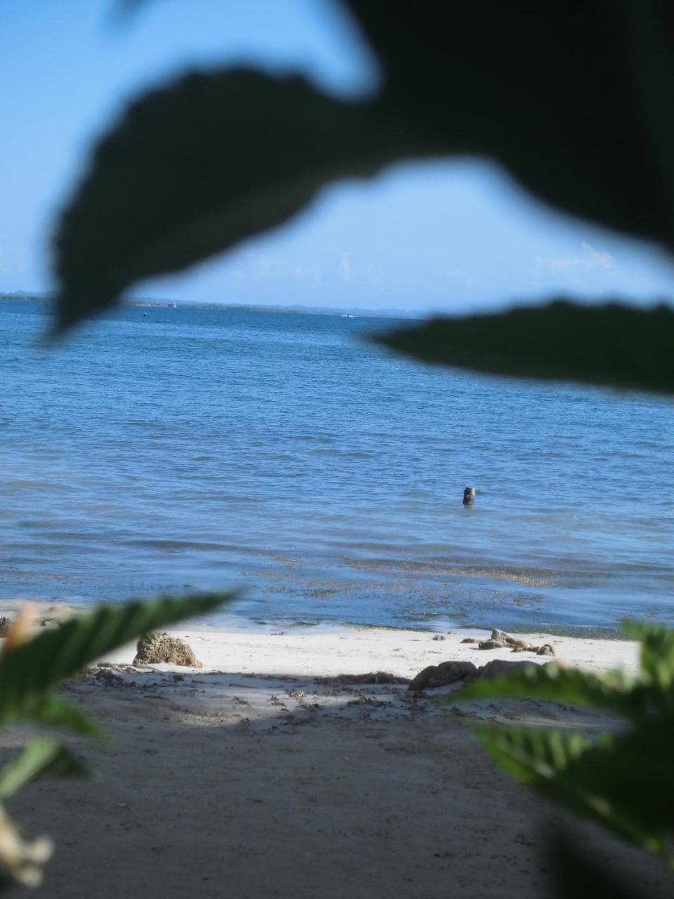 Faro Del Colibri Hotel Carenero Kültér fotó